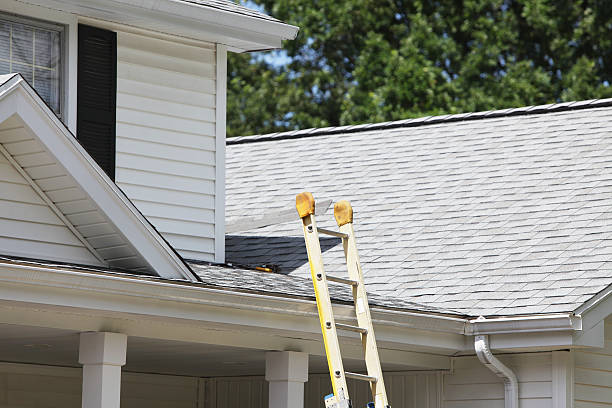 Best Demolition Debris Removal  in Detroit Beach, MI